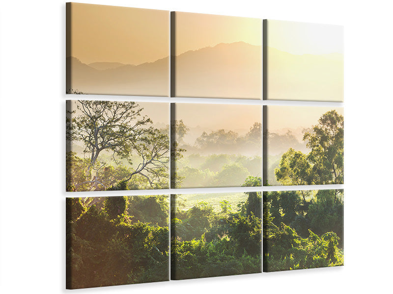 canvas-print-light-show-in-forest