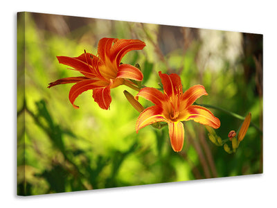 modern-3-piece-canvas-print-lilies-in-nature