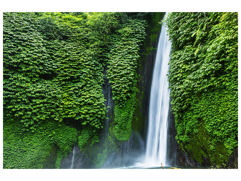 canvas-print-live-source