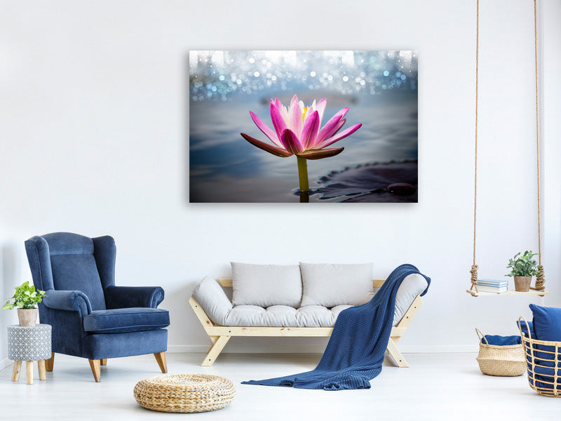 4-piece-canvas-print-lotus-in-the-morning-dew