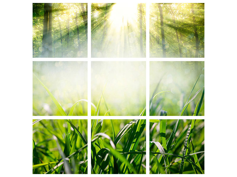 canvas-print-magic-forest