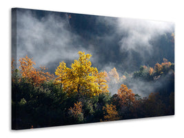 5-piece-canvas-print-moonlight-forest