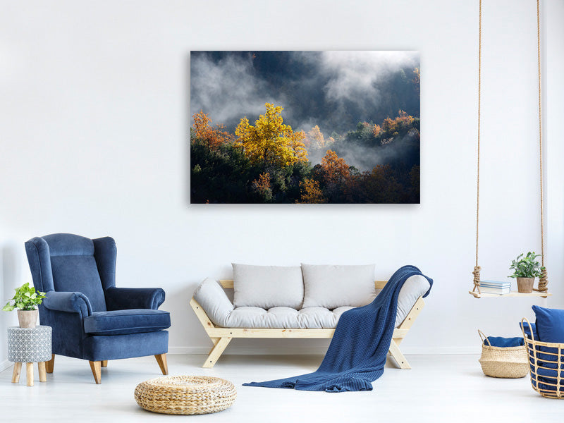 modern-4-piece-canvas-print-moonlight-forest