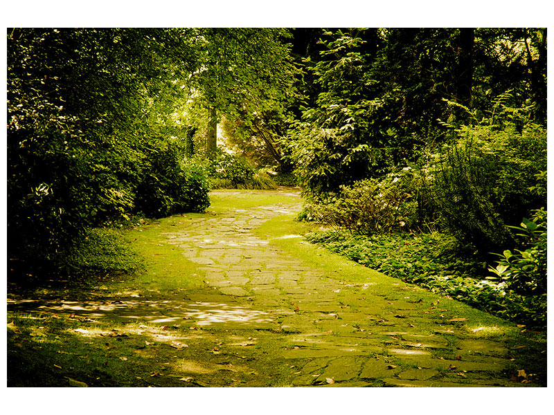 4-piece-canvas-print-moss-covered-path