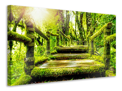 panoramic-canvas-print-moss