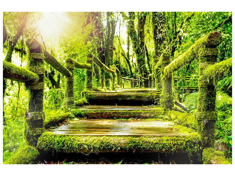 panoramic-3-piece-canvas-print-moss