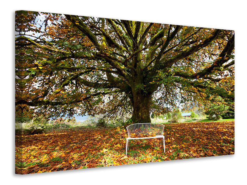 modern-4-piece-canvas-print-my-favorite-tree