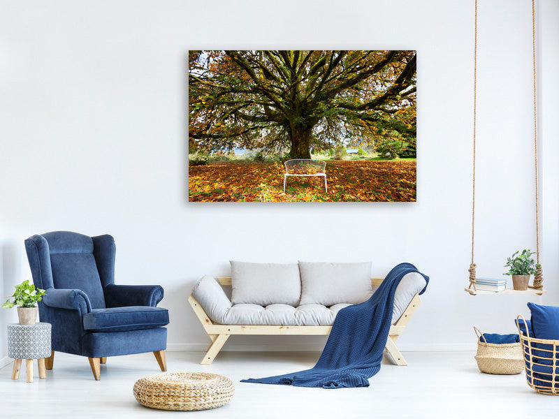 5-piece-canvas-print-my-favorite-tree