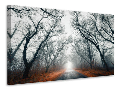 modern-3-piece-canvas-print-mysterious-mood-in-the-forest