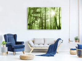 4-piece-canvas-print-nibelungen-forest