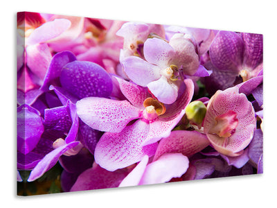 5-piece-canvas-print-orchid-paradise