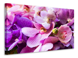 4-piece-canvas-print-orchid-paradise