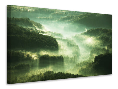 panoramic-3-piece-canvas-print-over-the-woods
