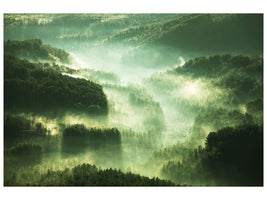 5-piece-canvas-print-over-the-woods