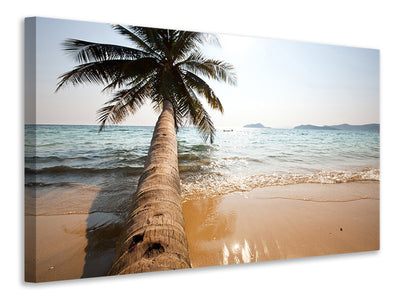 3-piece-canvas-print-palm