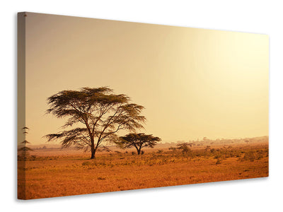 modern-3-piece-canvas-print-pastures-in-kenya