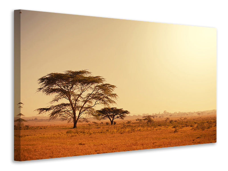 modern-4-piece-canvas-print-pastures-in-kenya