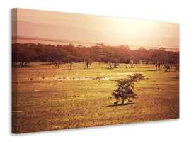 modern-4-piece-canvas-print-picturesque-africa