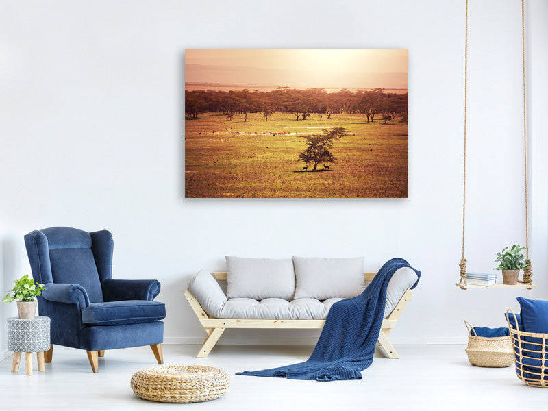 modern-4-piece-canvas-print-picturesque-africa