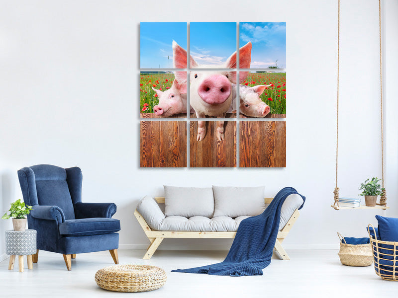 canvas-print-pig-in-luck
