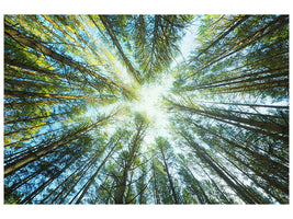 4-piece-canvas-print-pine-forest