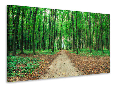 5-piece-canvas-print-pine-forests