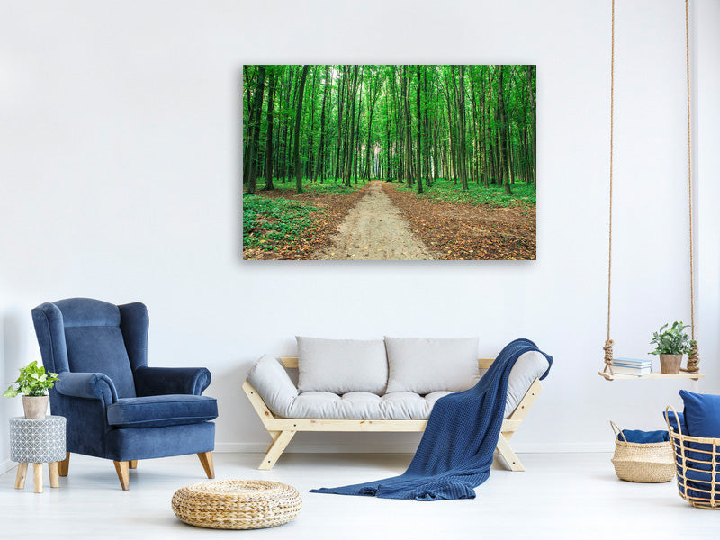 panoramic-3-piece-canvas-print-pine-forests