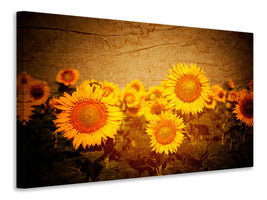 5-piece-canvas-print-retro-sunflower