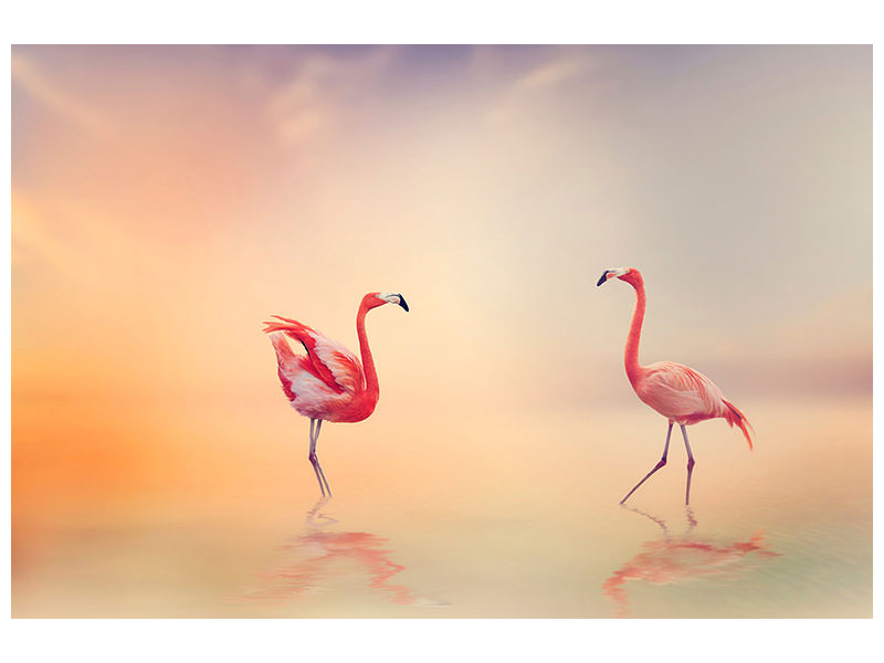 modern-4-piece-canvas-print-romantic-flamingos