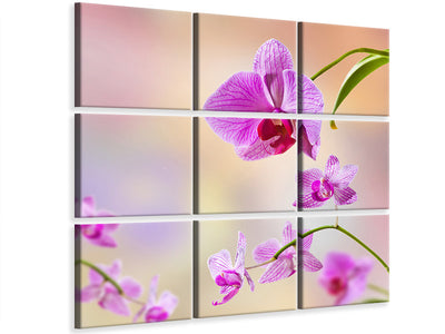 4-piece-canvas-print-romantic-orchids