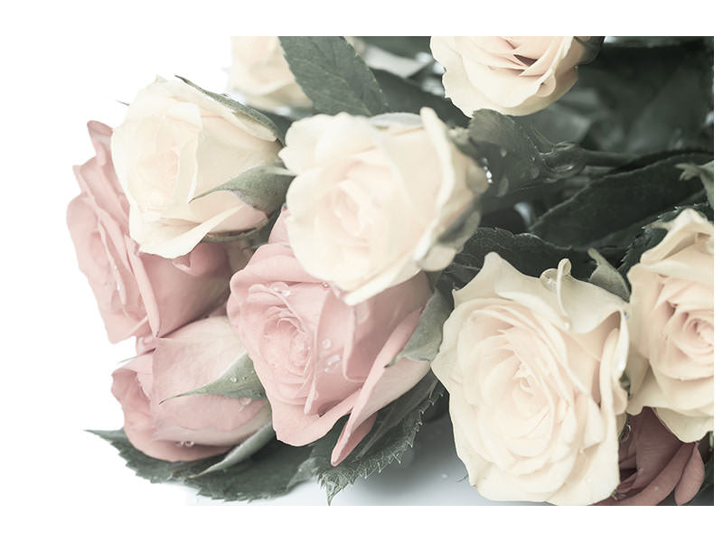modern-4-piece-canvas-print-romantic-rose