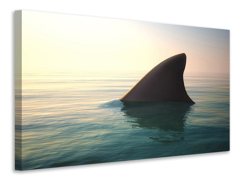 5-piece-canvas-print-shark-fin