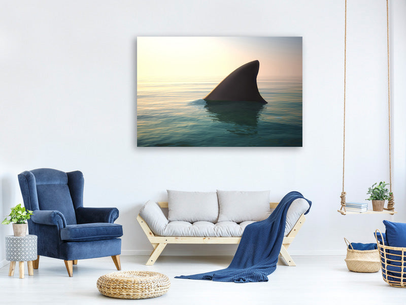 4-piece-canvas-print-shark-fin