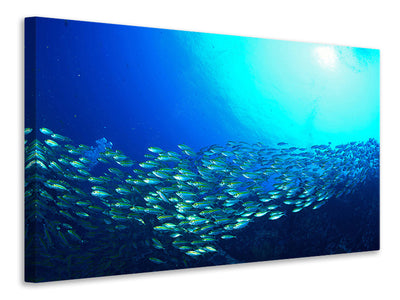 panoramic-3-piece-canvas-print-shoal-of-fish
