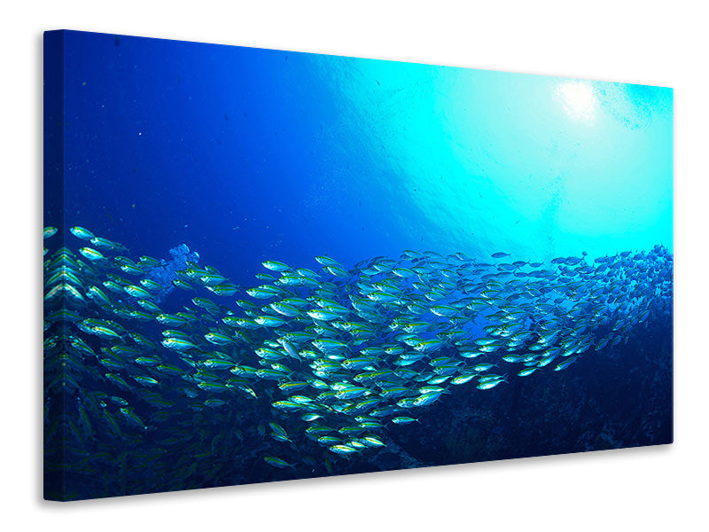 5-piece-canvas-print-shoal-of-fish