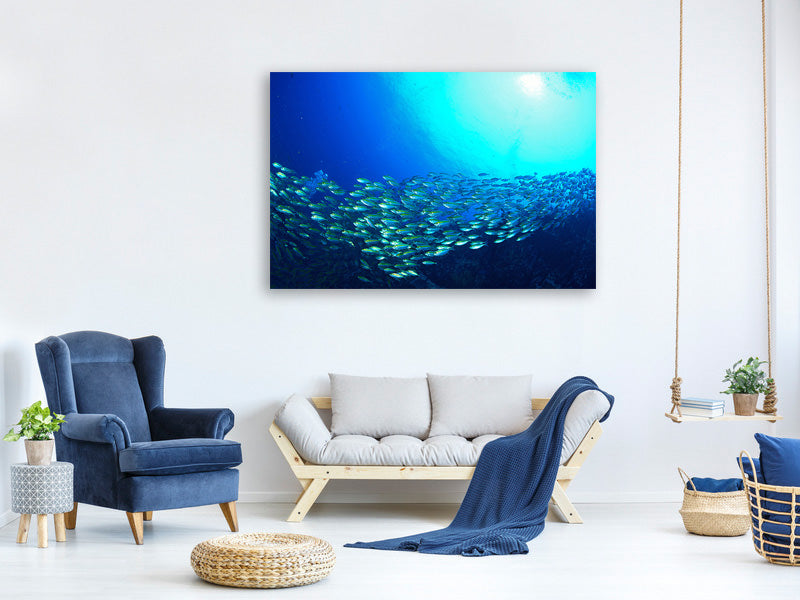 panoramic-3-piece-canvas-print-shoal-of-fish