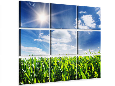 4-piece-canvas-print-spring-grass