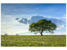 panoramic-3-piece-canvas-print-spring-tree