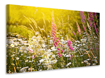 4-piece-canvas-print-summer-flower-meadow