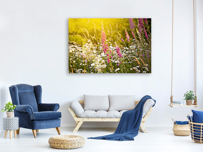 5-piece-canvas-print-summer-flower-meadow