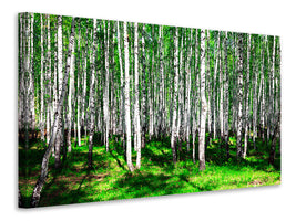 3-piece-canvas-print-summerly-birch-forest