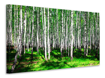 modern-3-piece-canvas-print-summerly-birch-forest