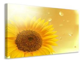 modern-4-piece-canvas-print-sunflower-in-morning-dew
