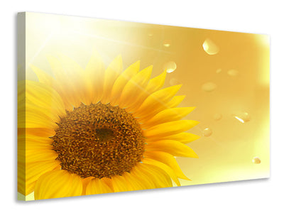 modern-4-piece-canvas-print-sunflower-in-morning-dew