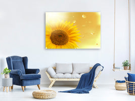 panoramic-3-piece-canvas-print-sunflower-in-morning-dew