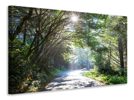 modern-3-piece-canvas-print-sunny-forest-path