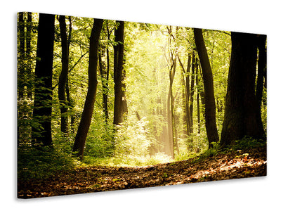 4-piece-canvas-print-sunrise-in-the-forest