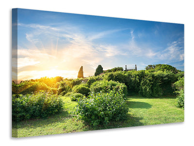 3-piece-canvas-print-sunrise-in-the-park