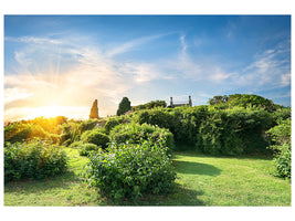 panoramic-3-piece-canvas-print-sunrise-in-the-park