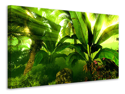 3-piece-canvas-print-sunrise-in-the-rainforest